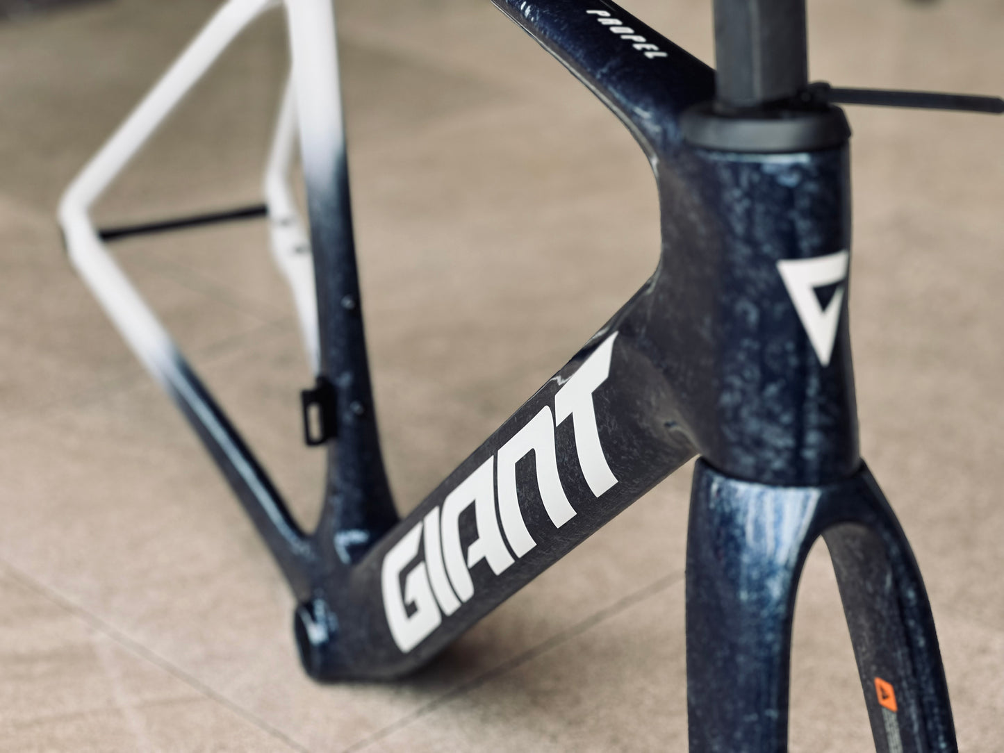 Giant 2025 Propel Advanced SL 公路車車架連前叉/ Giant 2025 Propel Advanced SL Frame & Fork