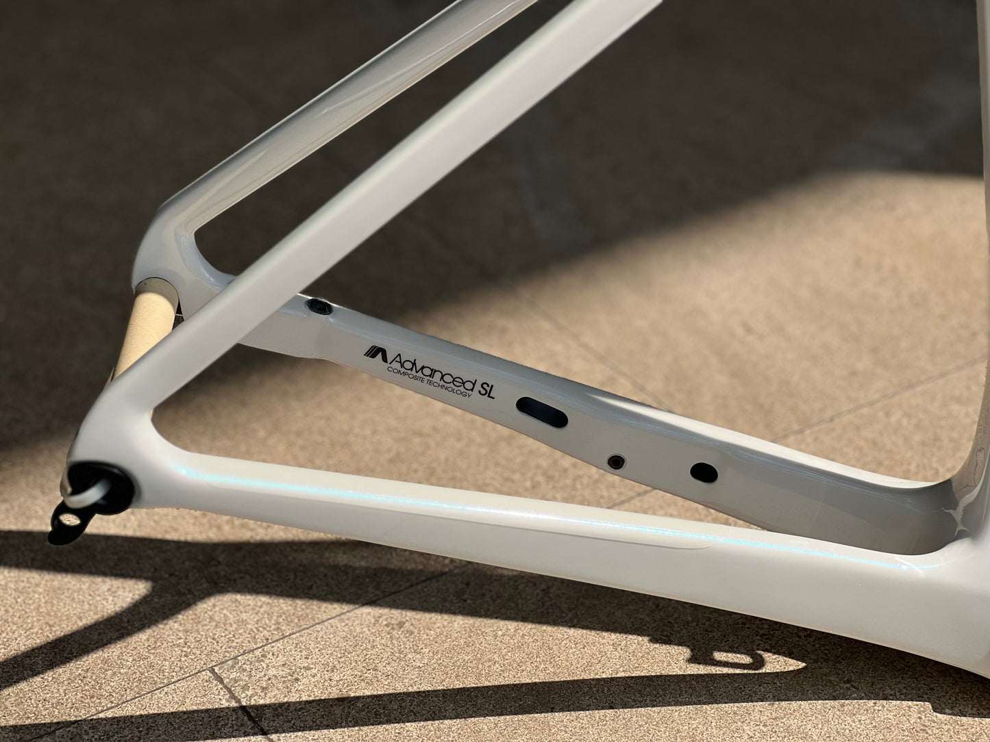 Giant 2025 Propel Advanced SL 公路車車架連前叉/ Giant 2025 Propel Advanced SL Frame & Fork