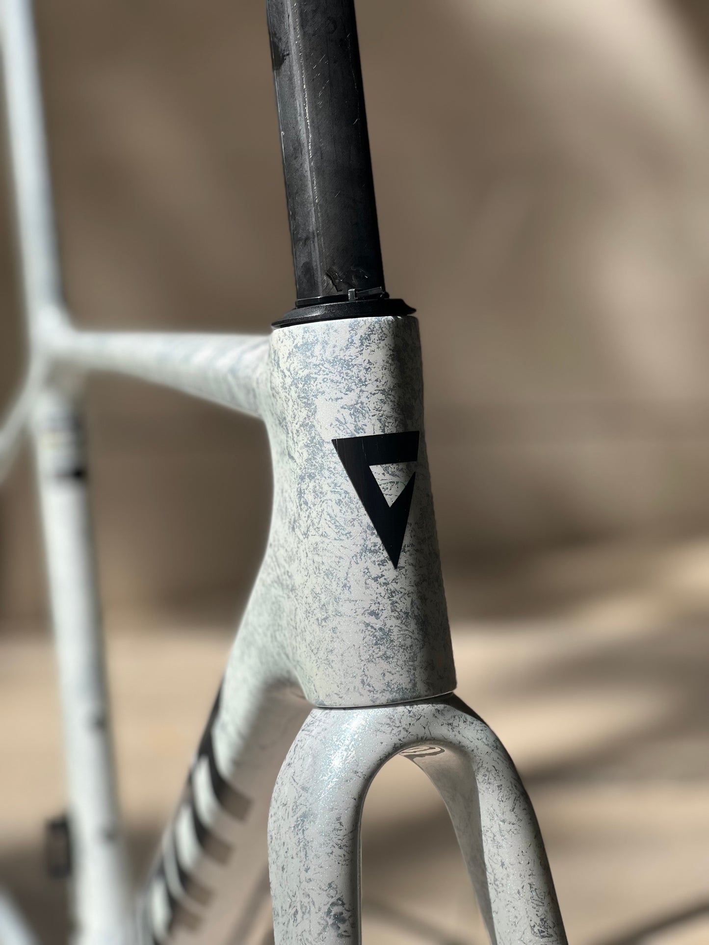 Giant TCR advance SL