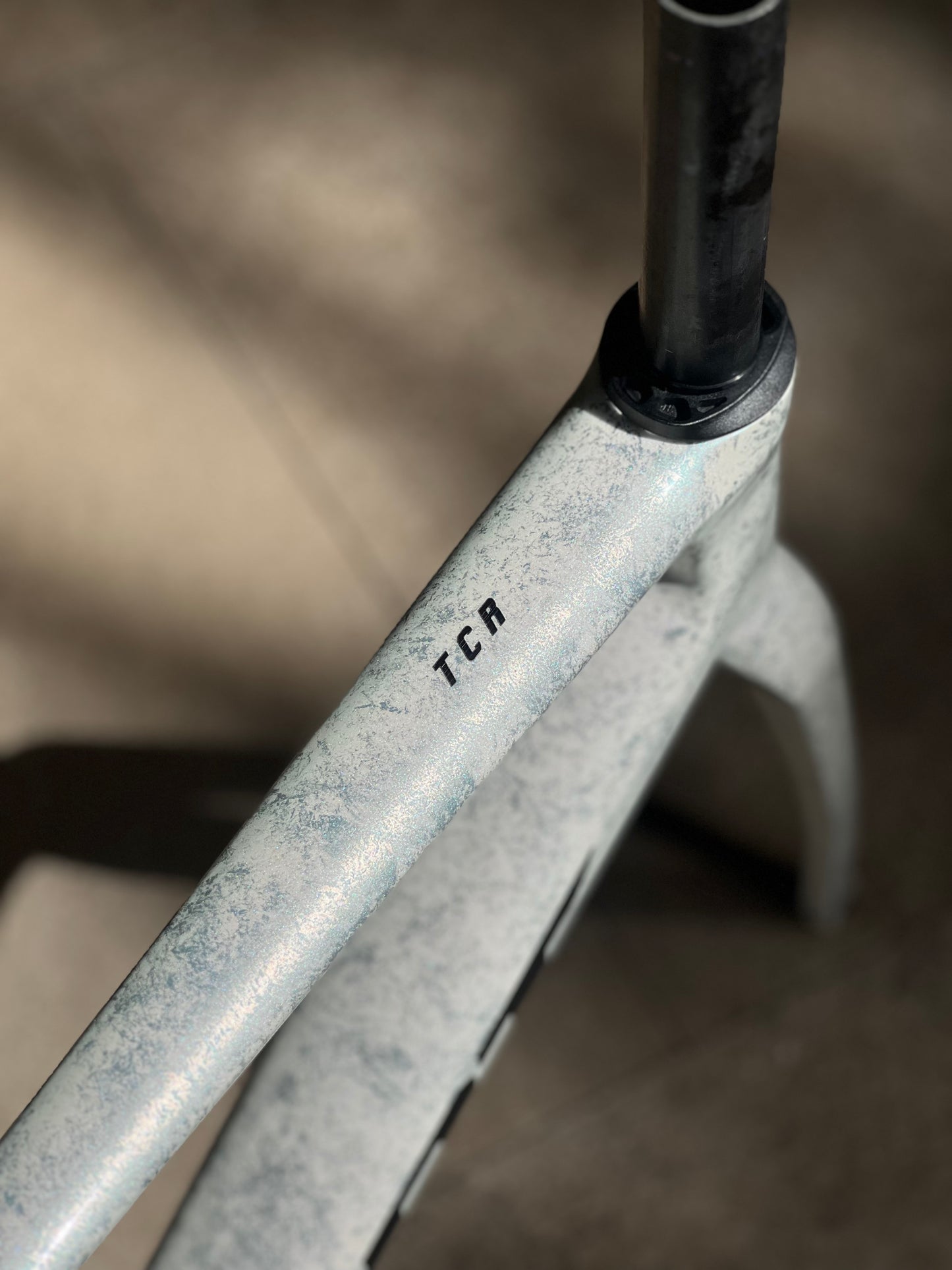 Giant TCR advance SL