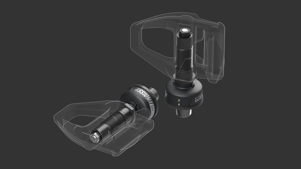 ASSIOMA FAVERO 功率腳踏